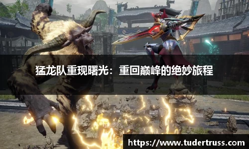 猛龙队重现曙光：重回巅峰的绝妙旅程