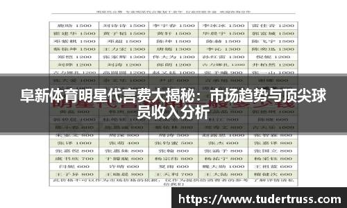 阜新体育明星代言费大揭秘：市场趋势与顶尖球员收入分析
