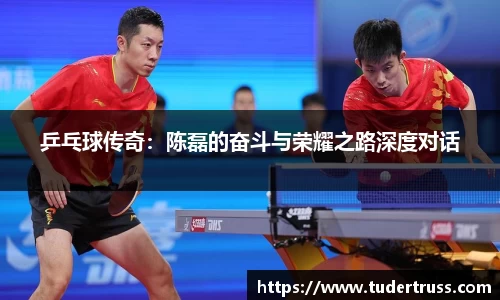 乒乓球传奇：陈磊的奋斗与荣耀之路深度对话