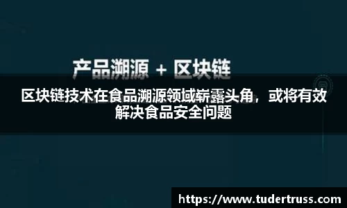 区块链技术在食品溯源领域崭露头角，或将有效解决食品安全问题