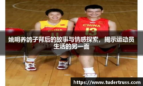 姚明养鸽子背后的故事与情感探索，揭示运动员生活的另一面