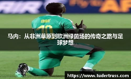 易游体育